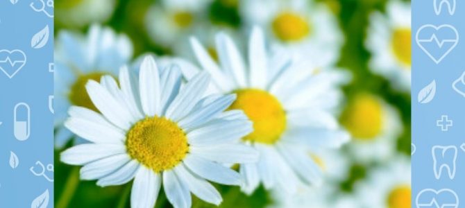 24 марта – Всемирный день борьбы с туберкулезом!