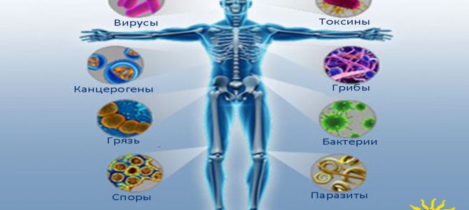 Укрепление иммунитета