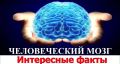 Как наш мозг нас обманывает Как наш мозг нас обманывает