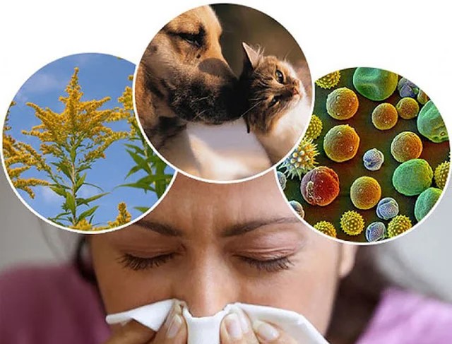 Самые распространенные аллергии